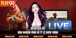 Đá Gà Cựa Sắt - Kinh Nghiệm Vàng Và Tỷ Lệ Chiến Thắng
